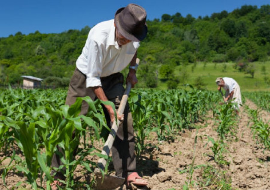 Déficit da previdência rural foi de R$ 105 bilhões em 2016