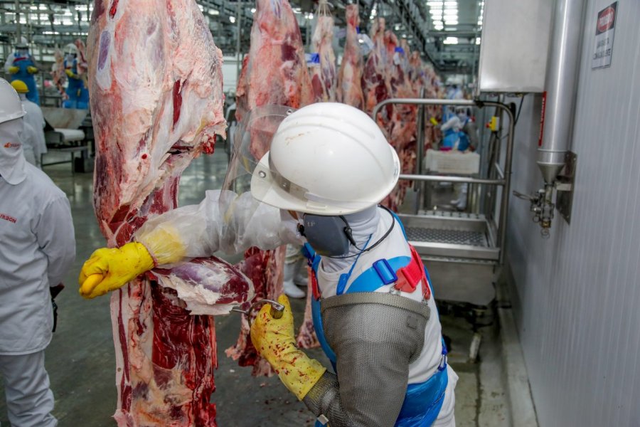 Rondônia recebe autorização para exportar carne bovina ao Canadá