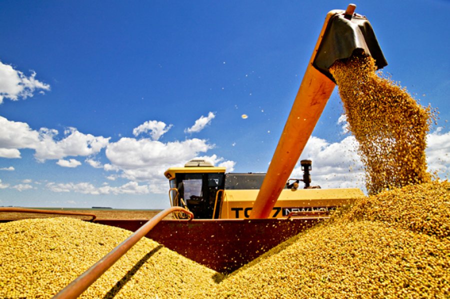Próximo a atingir um novo recorde, produção de grãos está estimada em 315,8 milhões de toneladas