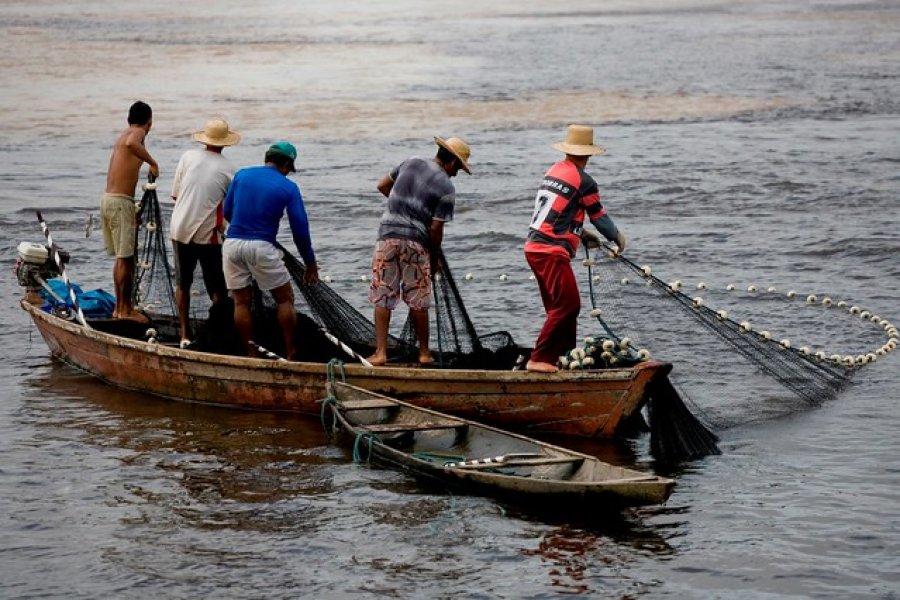 Recadastramento de pescadores deve começar em cerca de 30 dias