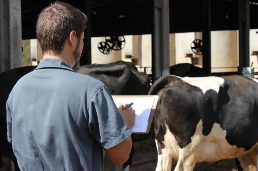 CRMV-RO lança concurso com vagas nível médio/superior e formação de cadastro de reserva; salários vão até R$ 6.400,00