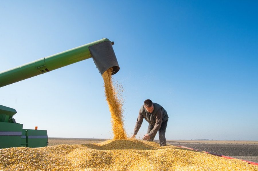 Produção de grãos está estimada em 312,5 milhões de toneladas na safra 2022/23