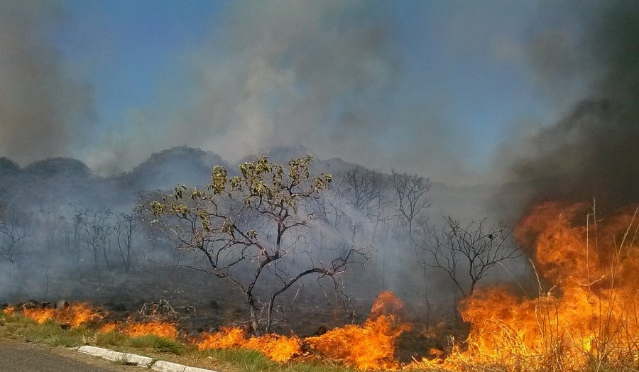 Uso do fogo fica proibido por 60 dias em todo território nacional