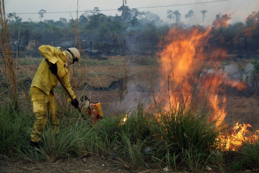 Decreto que proíbe emprego do fogo em áreas rurais e florestais por 120 dias é estabelecido em Rondônia