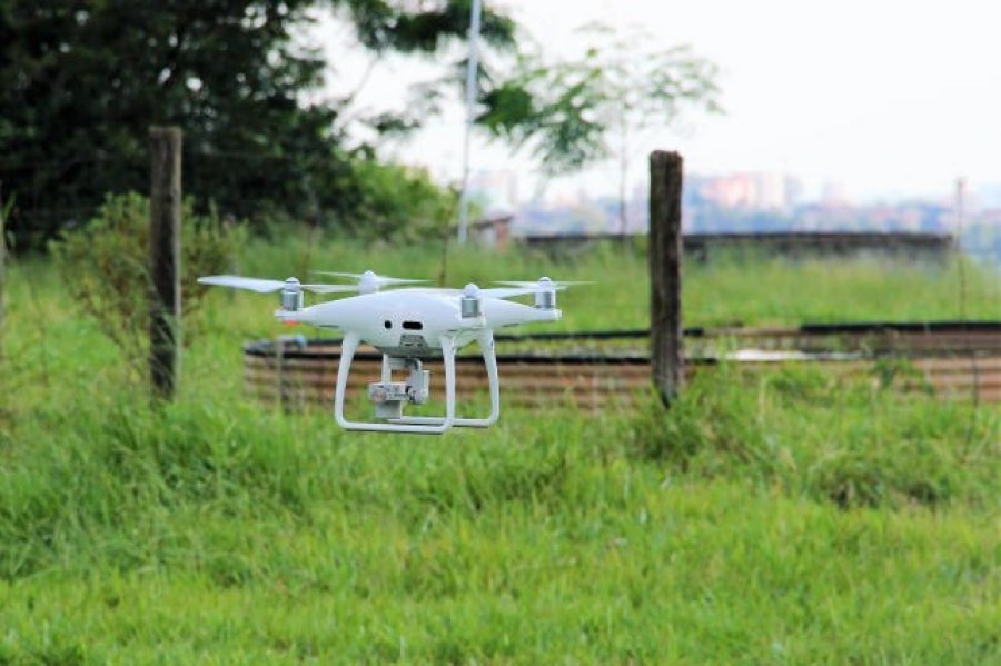 Normativo vai disciplinar o uso de drones na pulverização de defensivos agrícolas