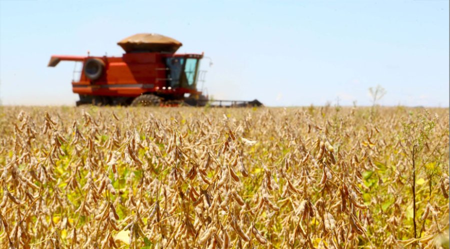 PIB cresce 2,3% em 2025