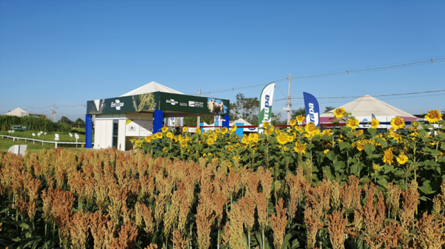 Embrapa apresenta tecnologias e inovações na 9ª edição da Rondônia Rural Show