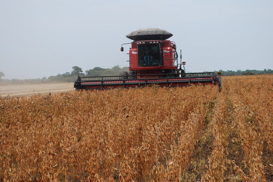 Valor da Produção Agropecuária é estimado em R$ 683,2 bilhões para 2020