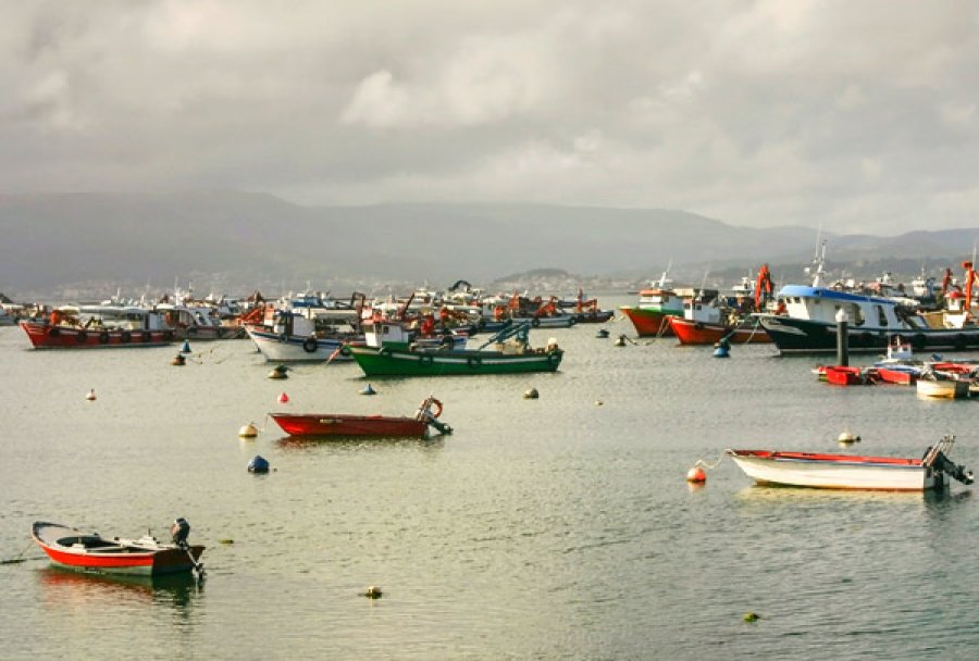 Autorização das embarcações de pesca terá validade por três anos