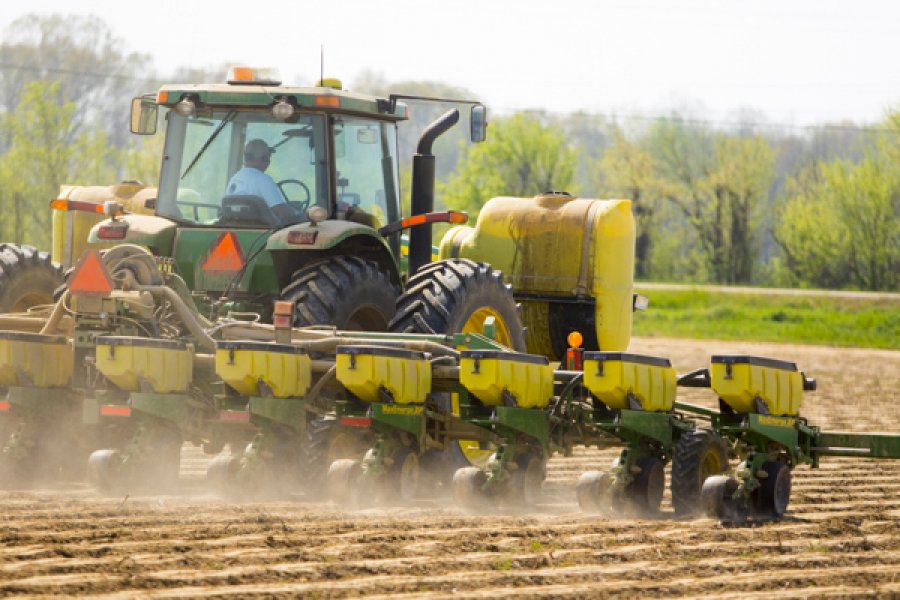 Agropecuária registra maior saldo de empregos desde 2011