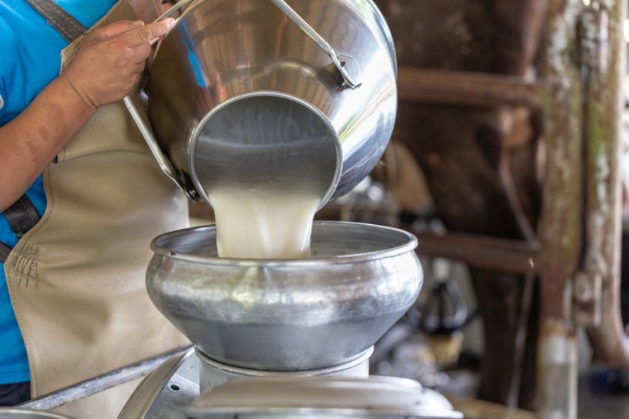 CMN aprova linha de crédito especial para produtores de leite do Brasil
