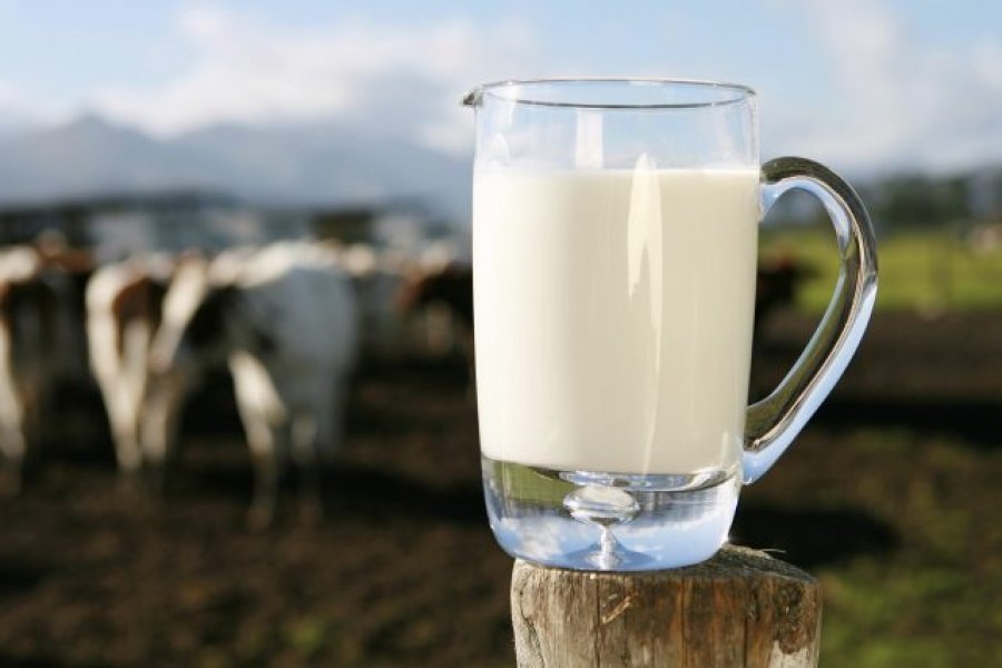 Saem novas regras para a produção de leite