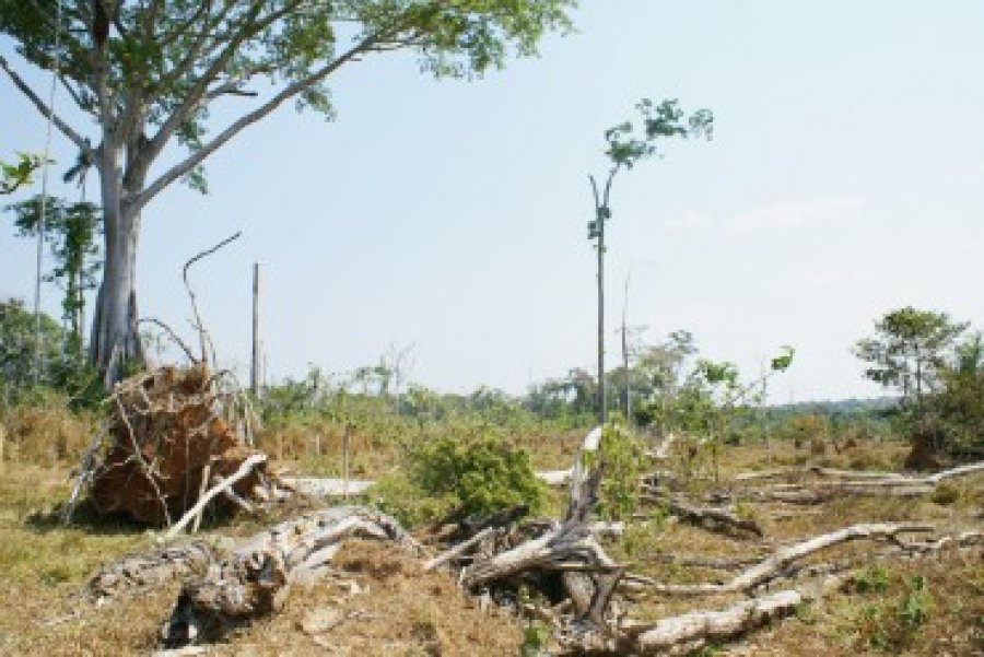 Rondônia faz a 2ª aproximação do zoneamento ambiental, apoia regularização fundiária e combate o desmatamento