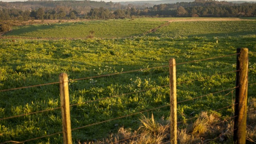 Programa Regulariza Rondônia é lançado para...