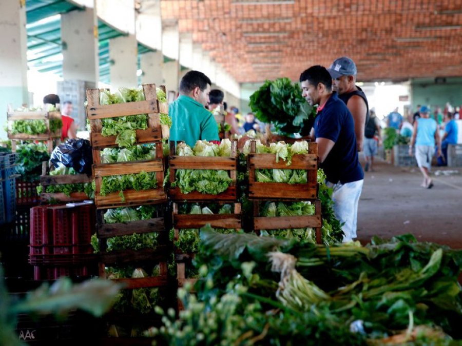 Como produtores no setor de flores e de hortifrúti estão se reinventando para recuperar prejuízos da pandemia