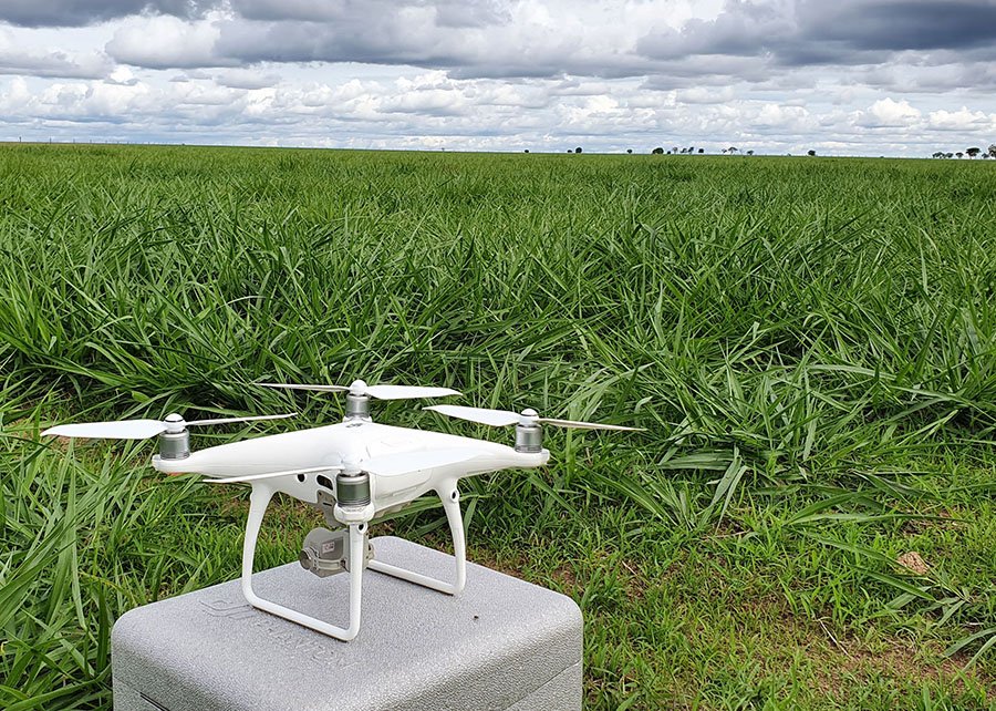 Drones garantem 66% de acurácia no monitoramento de pastagens