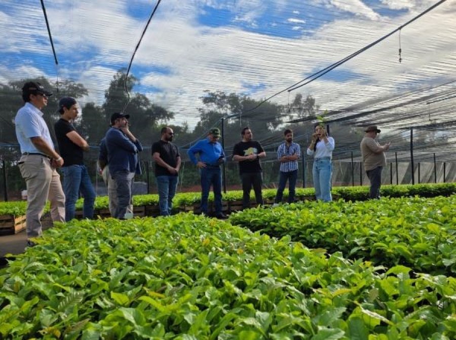 Comitiva do Ceará visita produtores de café em Rondônia
