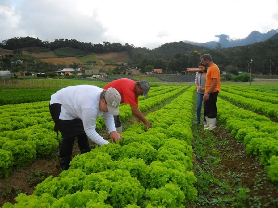 Senado aprova Semana Nacional da Agricultura Familiar