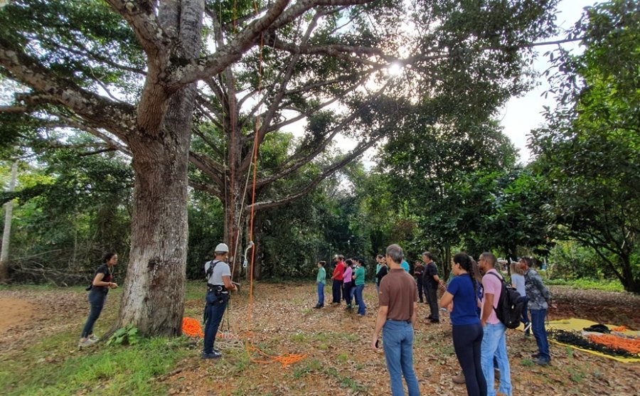 Embrapa capacita profissionais para restauração florestal em Rondônia