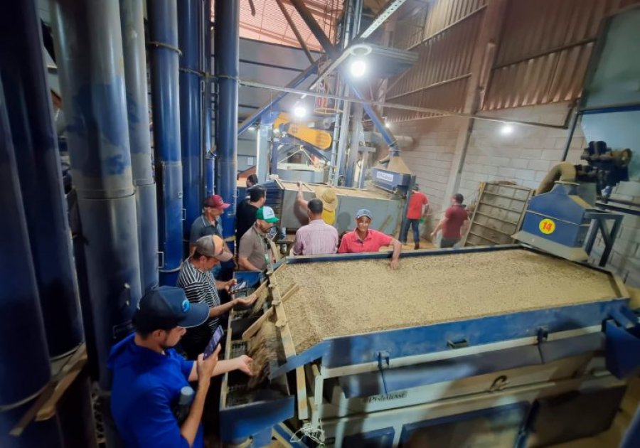 Excursão técnica leva para produtores da região do Cone Sul do estado para conhecerem lavoura tecnificada de café em Cacoal