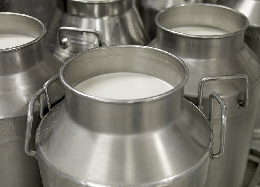 Comportamento do mercado de leite no Brasil reflete desajuste entre oferta e demanda