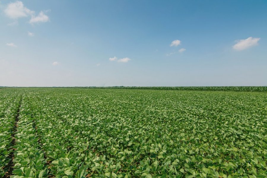 Medida Provisória do Agro é sancionada e vai facilitar acesso ao financiamento rural