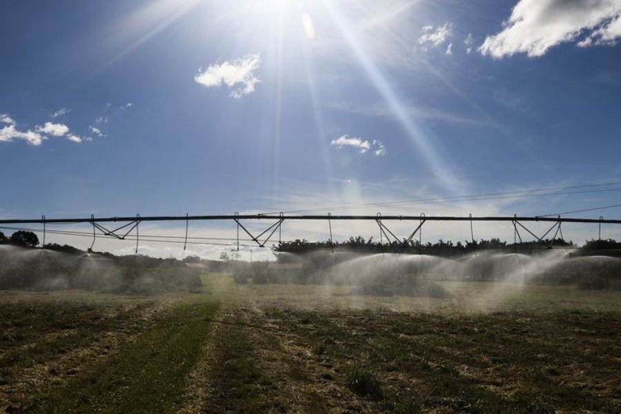 Novas tecnologias digitais auxiliam produção no campo