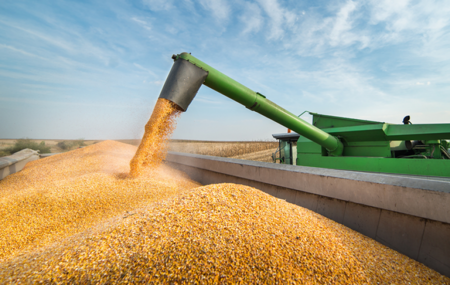 Produção de grãos brasileira deverá chegar a 390 milhões de toneladas nos próximos dez anos