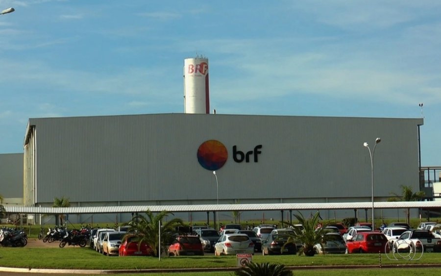 Carne Fraca: Ministério da Agricultura e produtores de frango dizem que não há riscos para saúde do consumidor