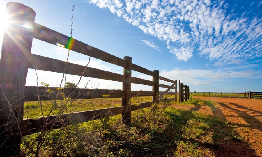 Segurança em propriedades rurais: tudo o que você precisa saber!