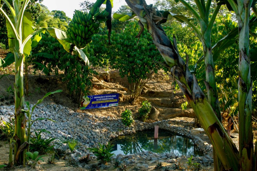 Da recuperação de nascentes até biogás de esterco de boi, público tem acesso a tecnologias na Rondônia Rural Show