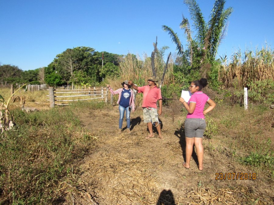 Projeto Viveiro Cidadão: Oportunidade para jovens agricultores