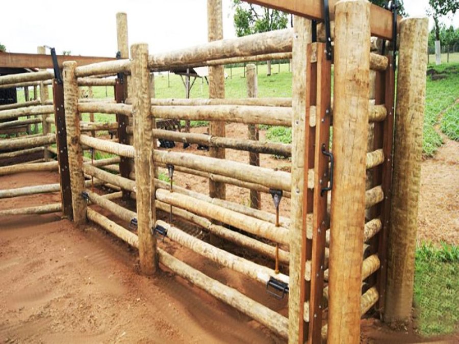 Propriedades rurais podem aproveitar versatilidade da madeira tratada