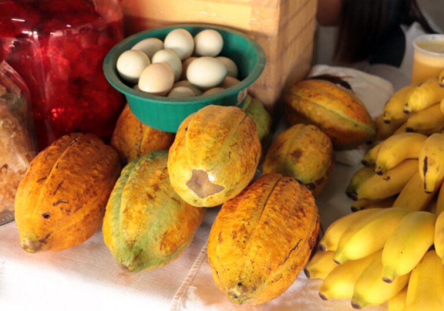 Agricultores familiares ganham novo espaço para comercializar seus produtos na Capital