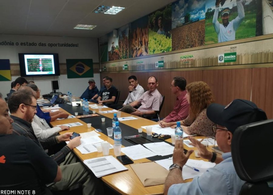 Câmara setorial do café em Rondônia pede retificação do preço mínimo dos cafés conilon/robusta no Estado