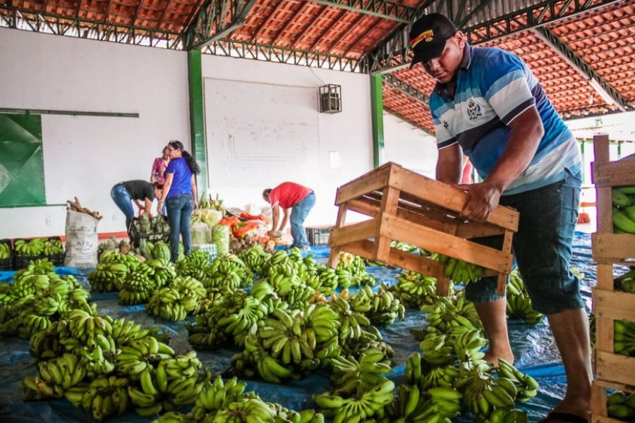 Produtores rurais de Rondônia são dispensados de outorga para uso considerado insignificante de recursos hídricos