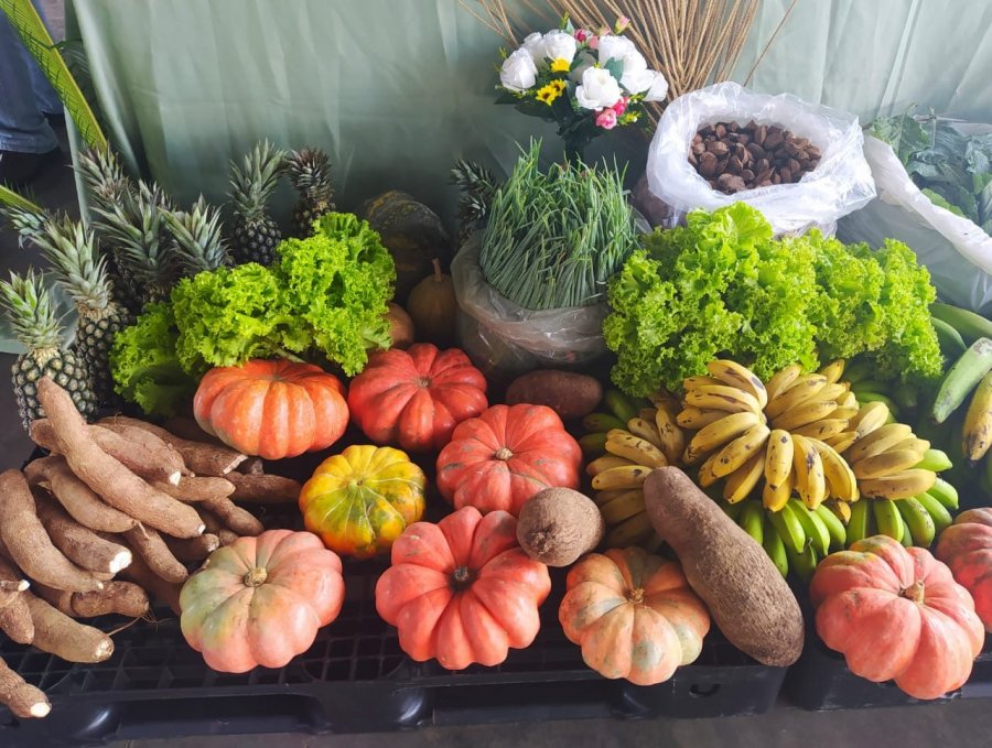 Edital do Programa de Aquisição de Alimentos prevê investimentos para Agricultura Familiar, em Rondônia