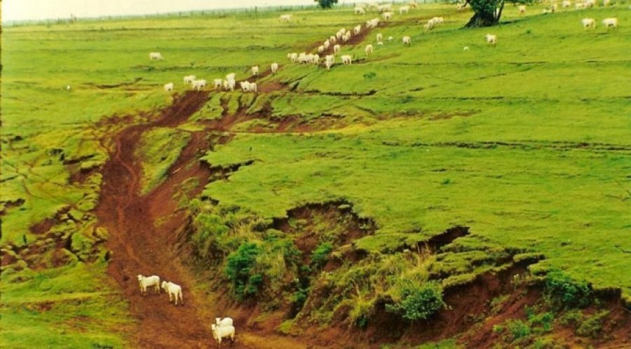 Rondônia assina primeiro termo de compromisso de regularidade ambiental para recuperação de áreas degradadas
