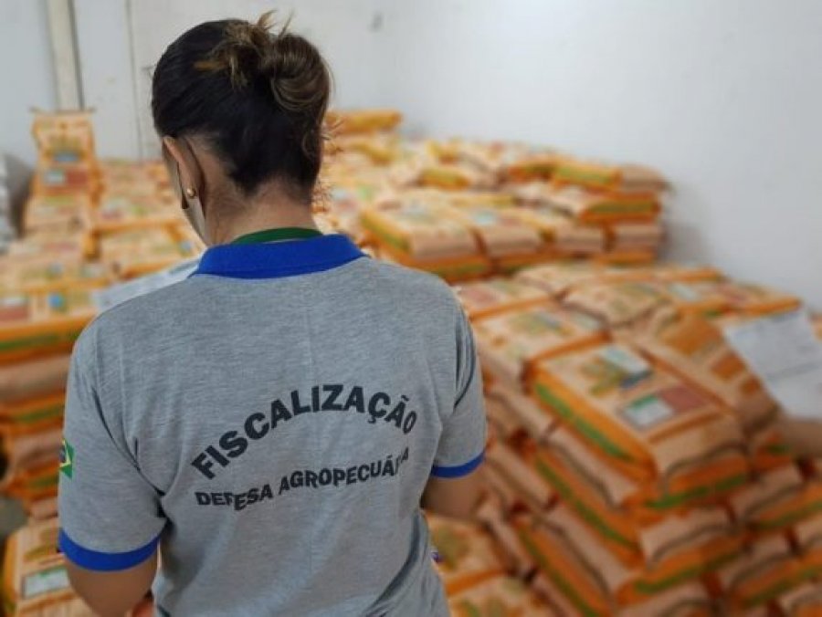 Idaron faz coleta de amostra de sementes de pastagem para atestar a qualidade de germinação