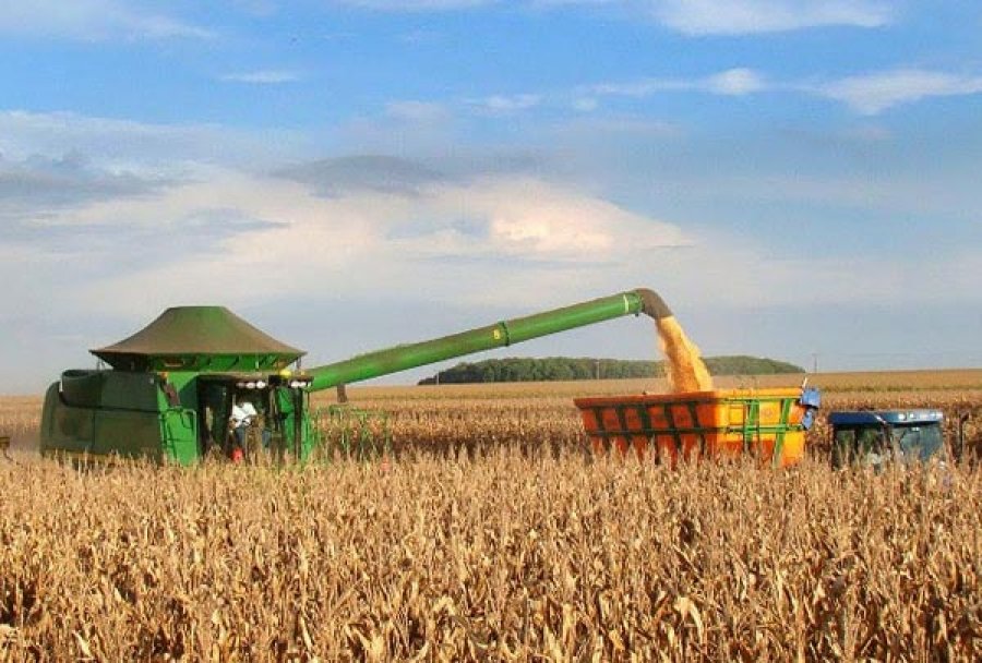 Caixa reduz taxa de juros para médios produtores rurais