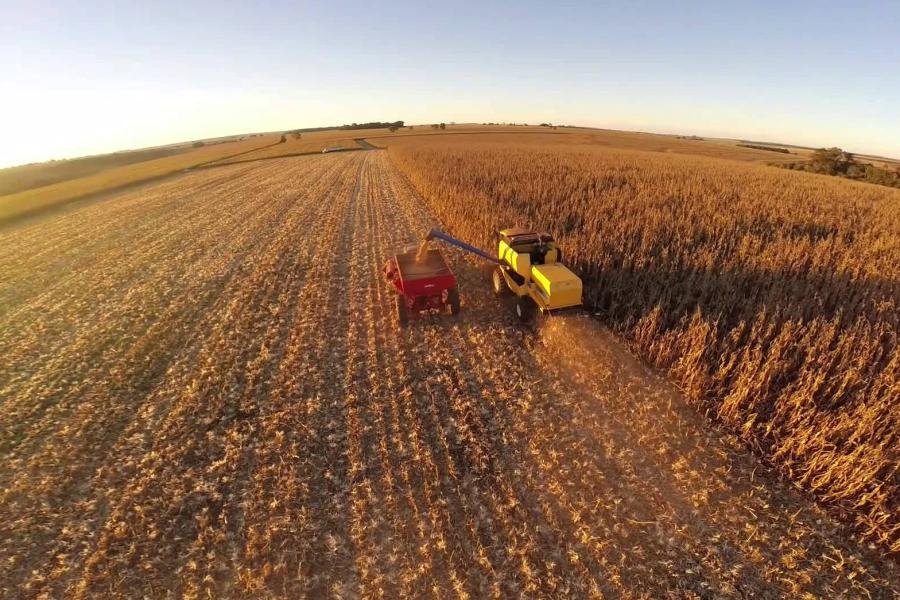 Valor Bruto da Produção Agropecuária de 2020 deve chegar a R$ 742,4 bilhões