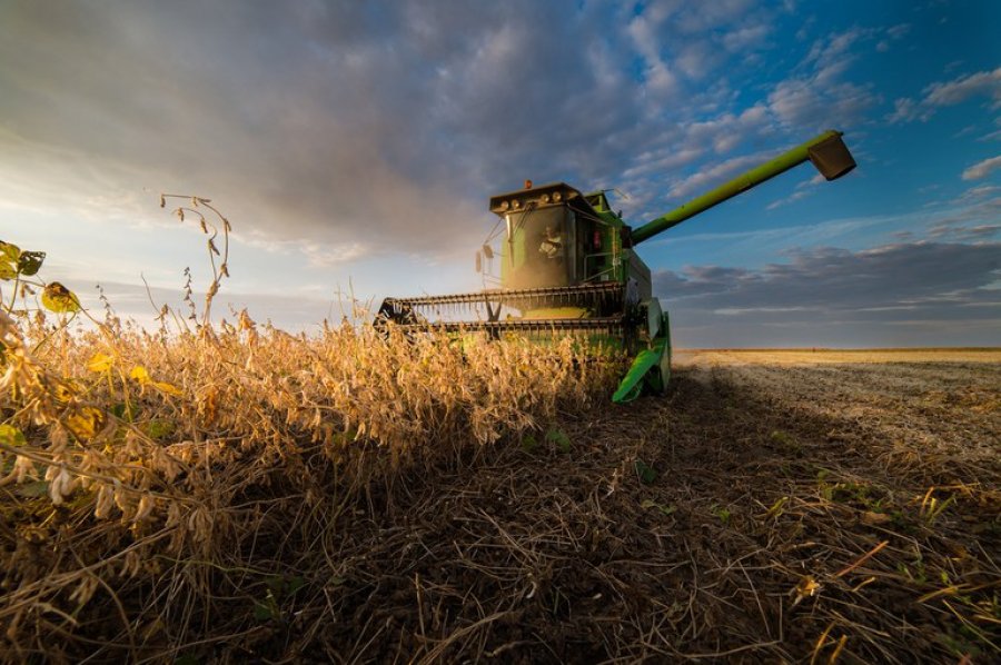 Nova lei do governo federal permite mais liberdade e segurança para a contratação de crédito rural