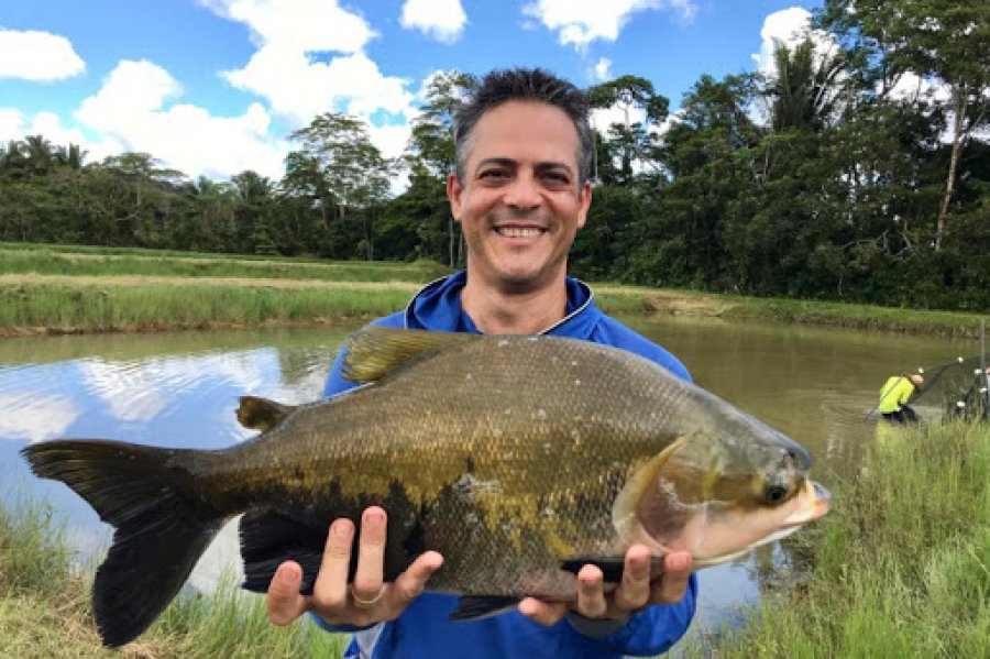 Produtores de Rondônia investem no teste TambaPlus para melhoria das matrizes de tambaqui