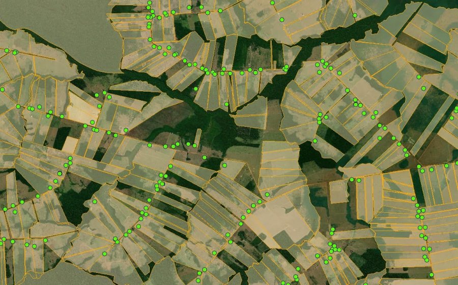 Estudo aponta 282,8 milhões de hectares em áreas destinadas à preservação da vegetação nativa no mundo rural