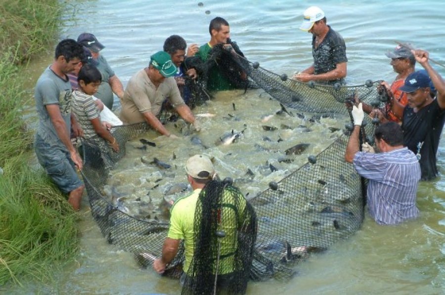 SAP cancela 160 licenças de pescadores em dez estados