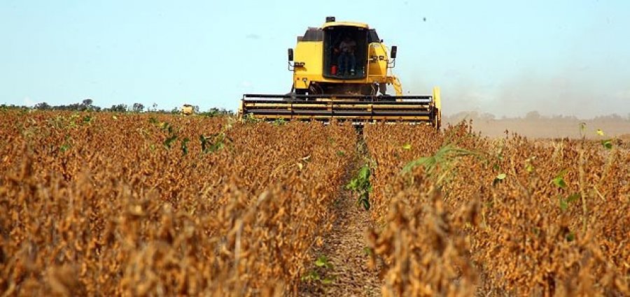 Em 2017, Valor Bruto da Produção é recorde com R$ 540,3 bilhões