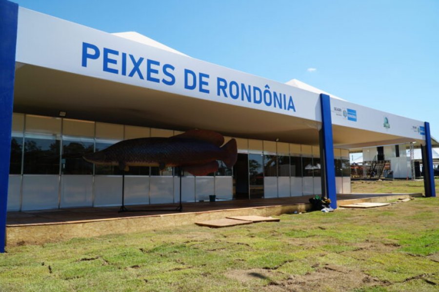 Espaço “Peixes de Rondônia” trará palestras, degustação de pratos e inovações ao produtor rural durante a Rondônia Rural Show