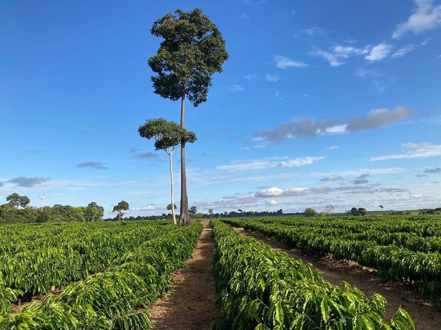 Dados territoriais orientam políticas públicas,...