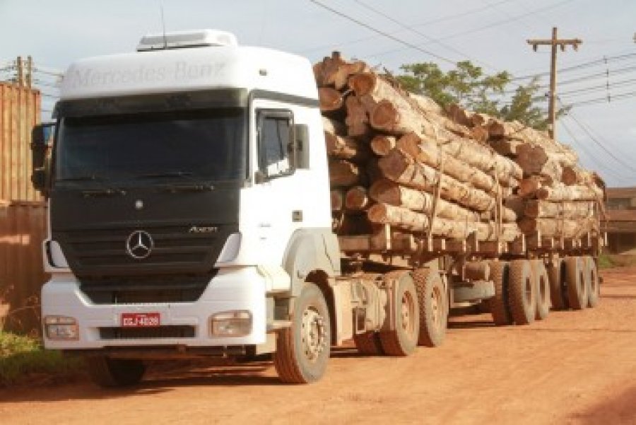 Período de restrições à extração de madeira já começou em Rondônia