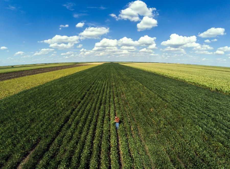 Liberação do crédito rural alcança R$ 222,8 bilhões em sete meses do atual plano safra